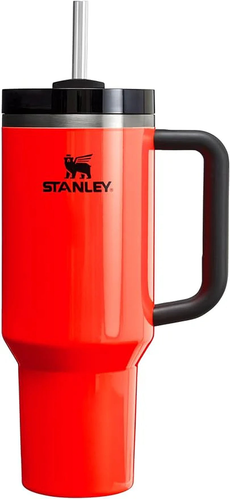 Insulated Stainless Steel Cup